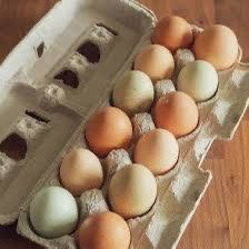 Fresh Eggs