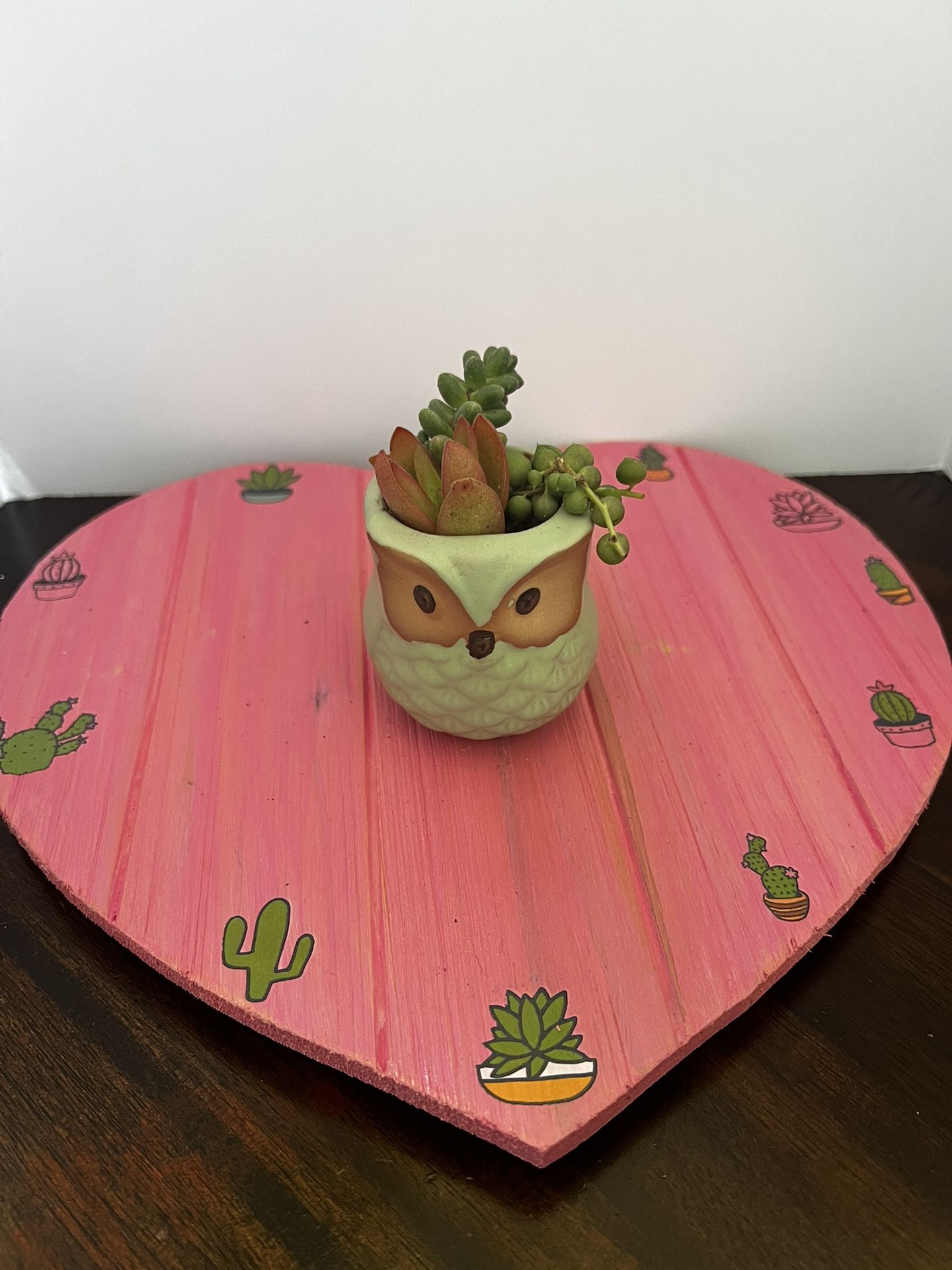Mini Owl Succulent