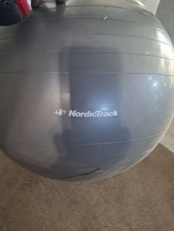 NordicTrack Exercise Ball
