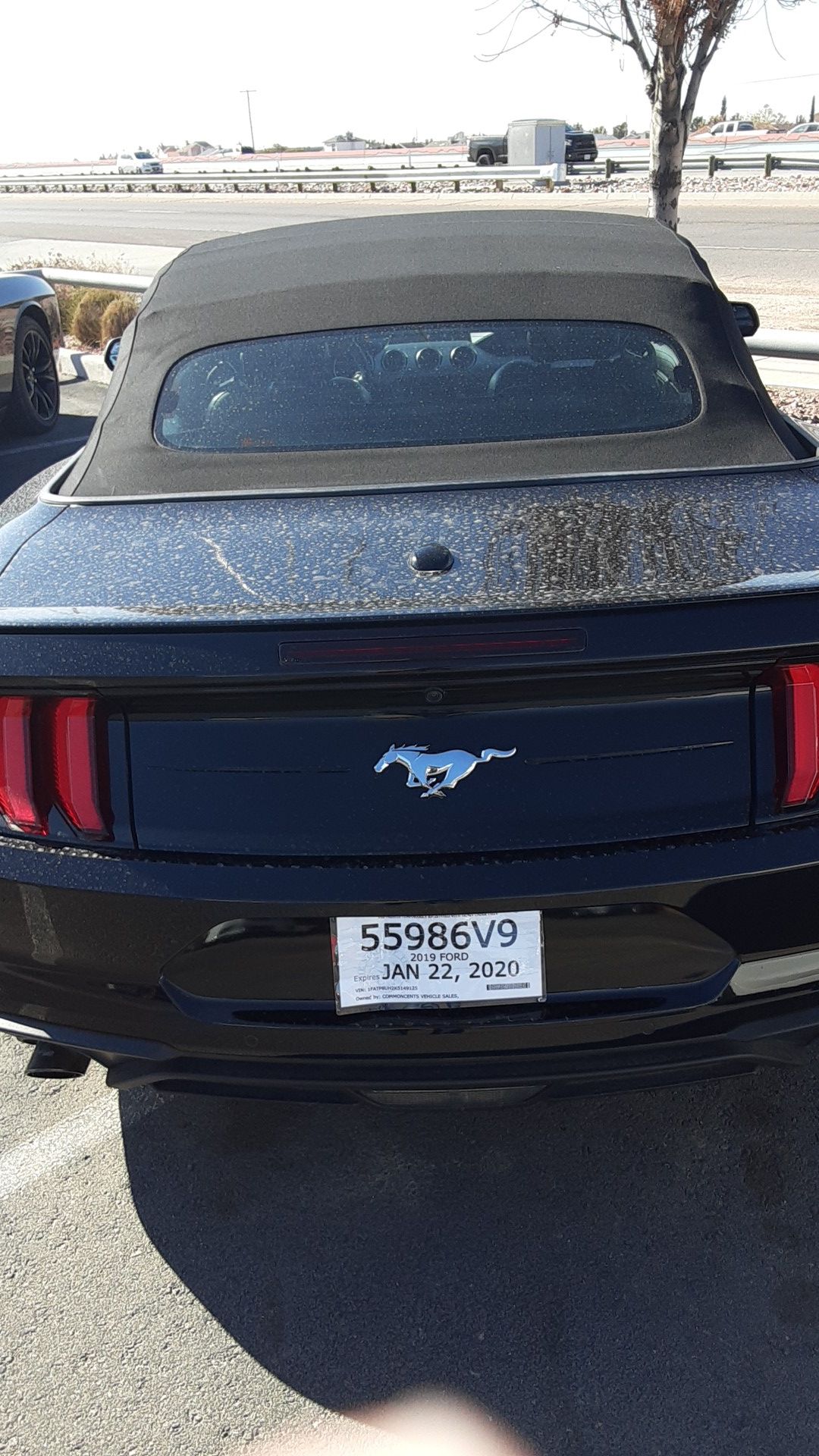 Convertible Mustang
