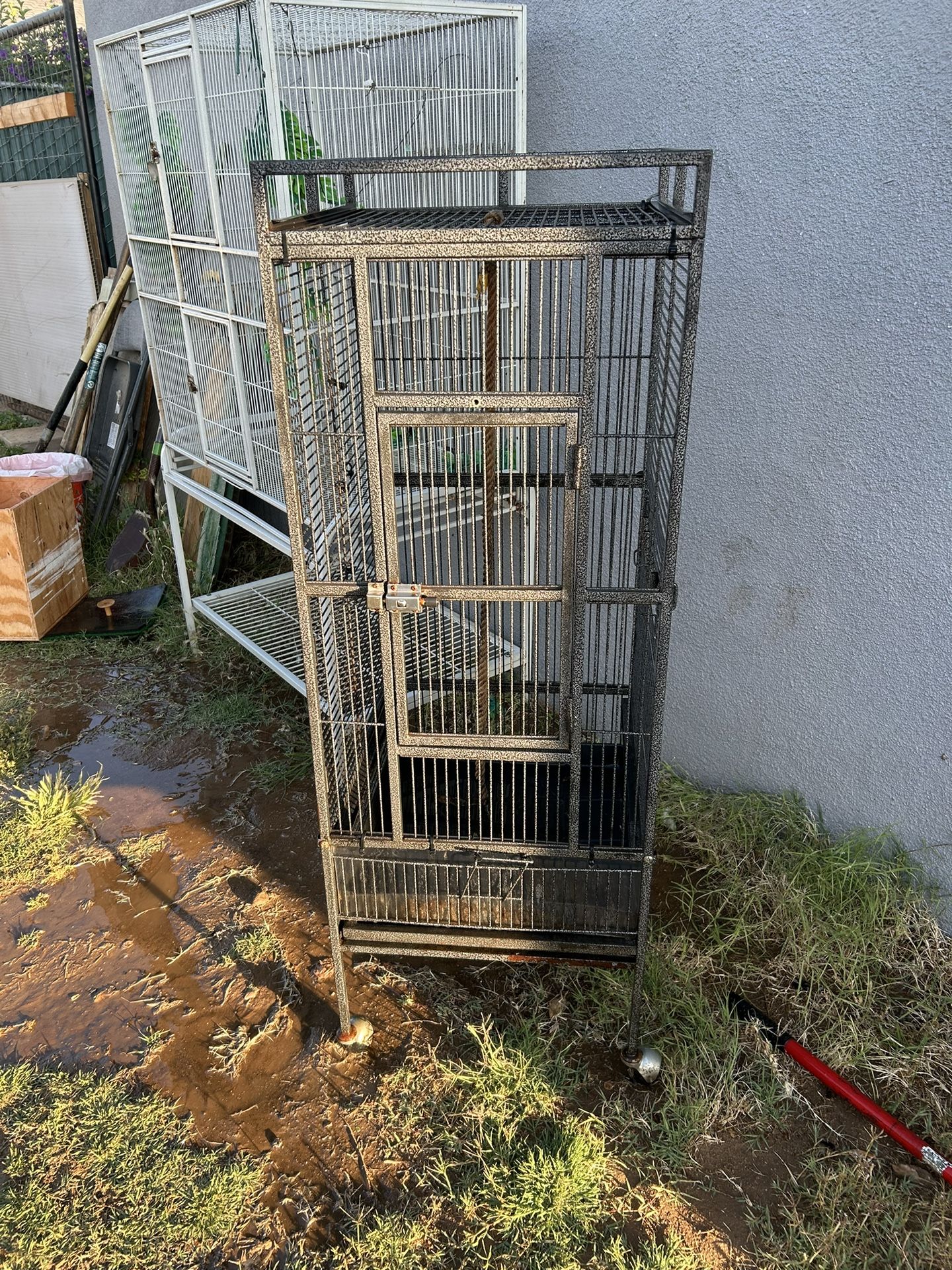 Bird Cage