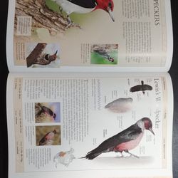 Book: Birds of North America