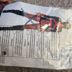 Sexy Ninja Costume 