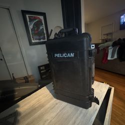 Pelican 1510 With  Some Foam