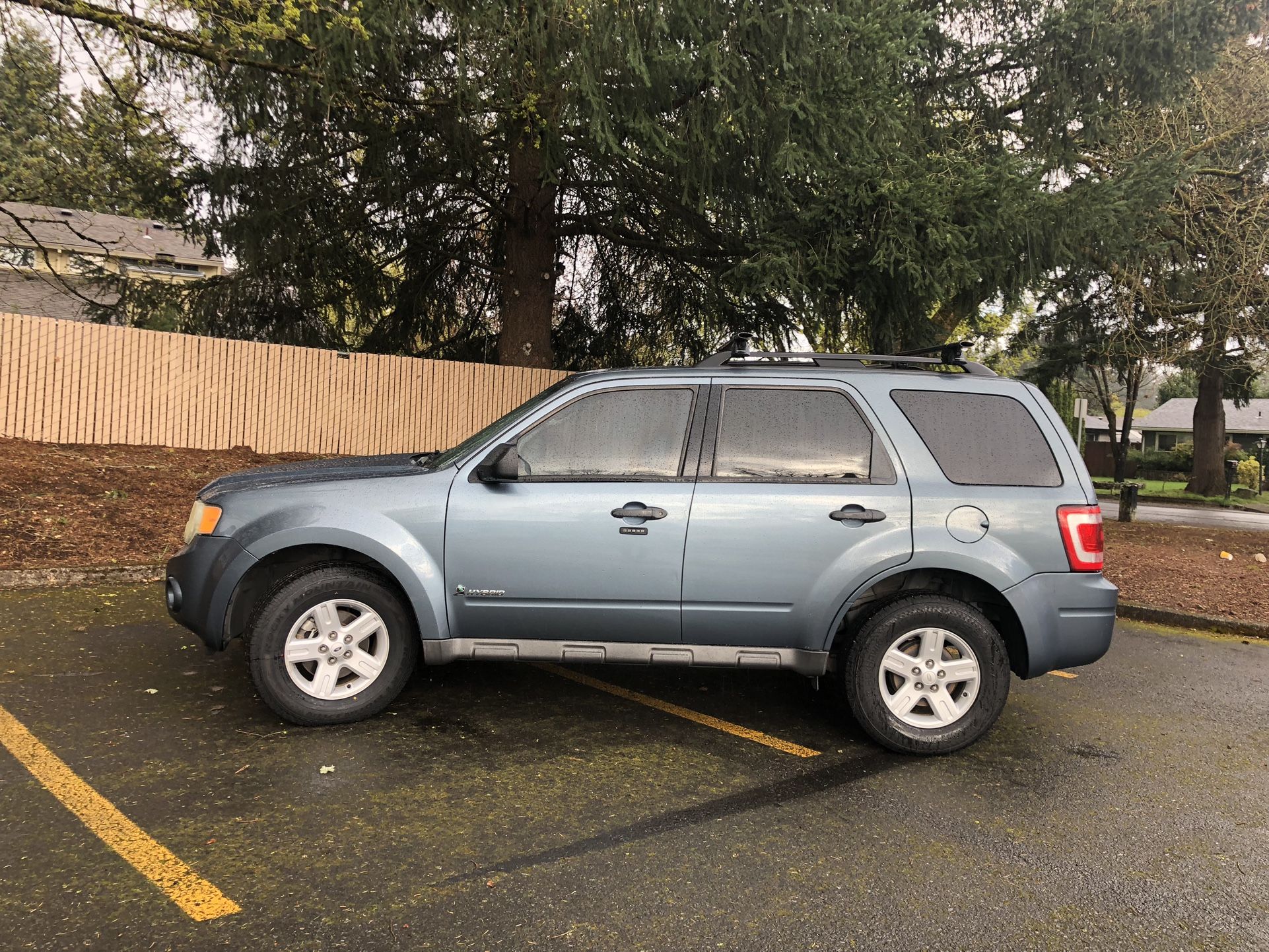 2010 Ford Escape Hybrid