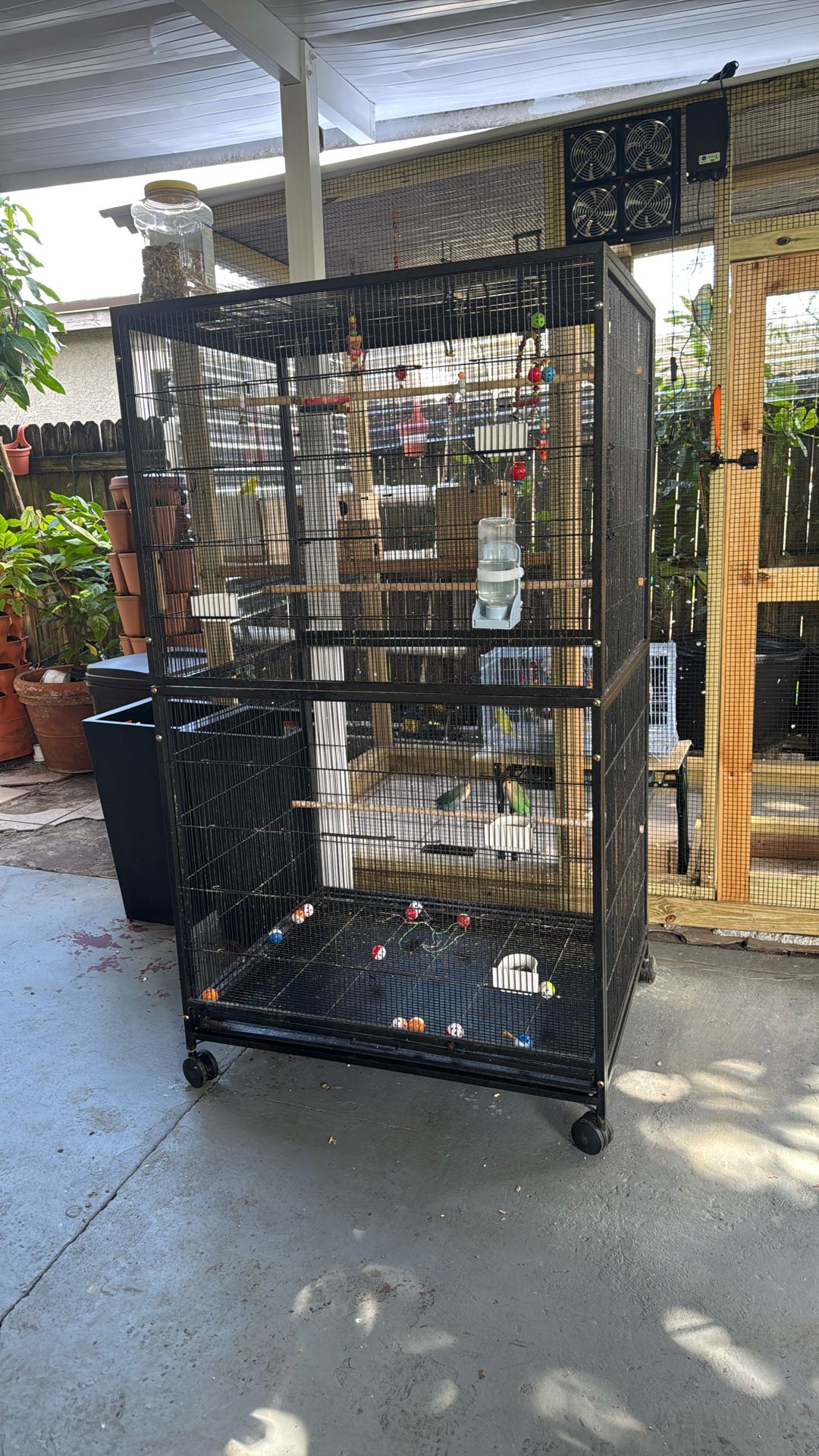 Big Bird Cage Great Conditions