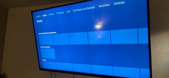 Vizio tv 55in