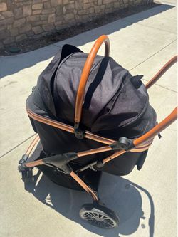 Dog stroller