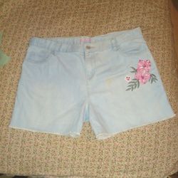 Light Blue Shorts With Embroidery 
