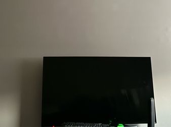 55 inch roku tv .