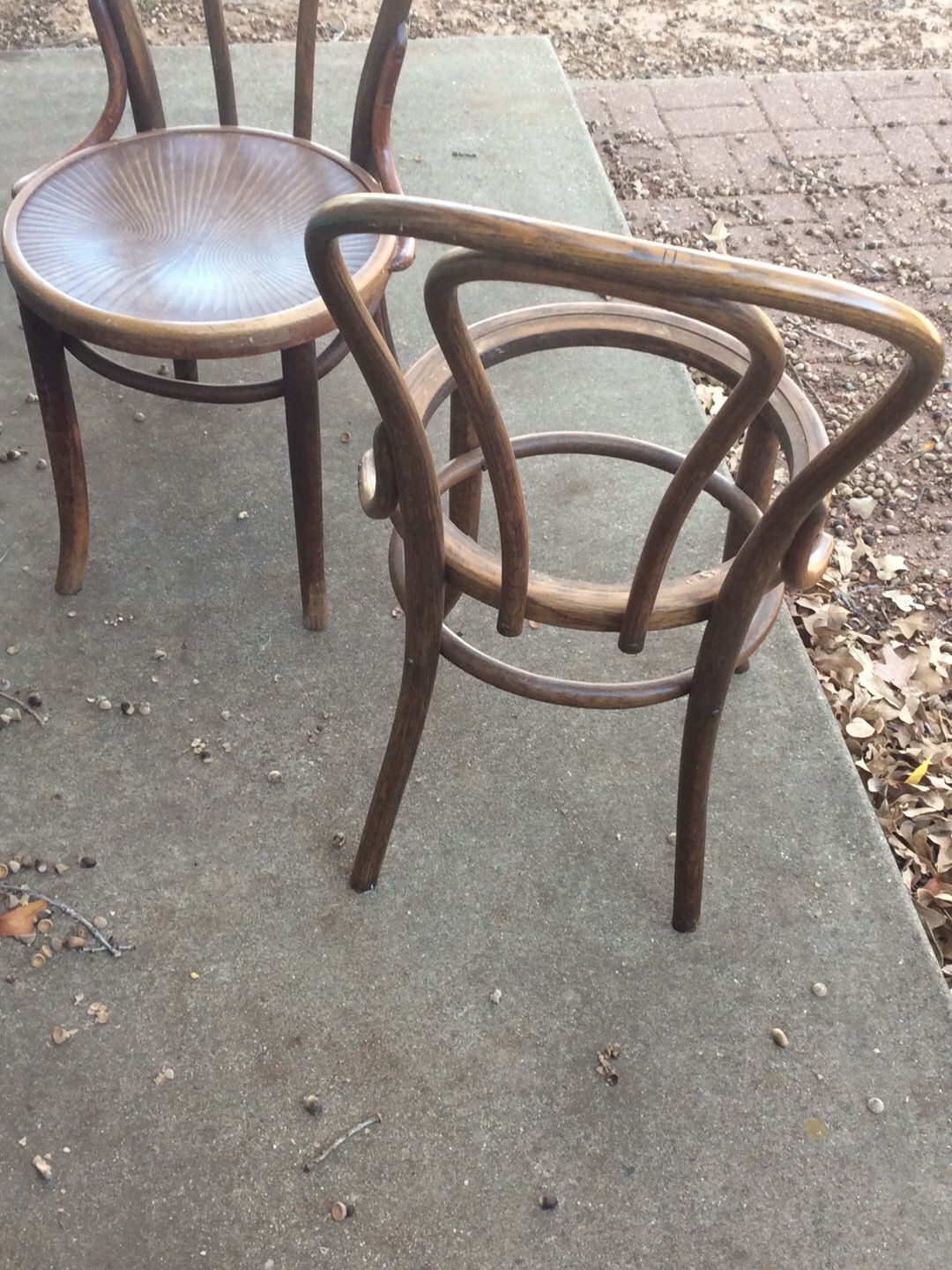 Bentwood Chairs And Other Oak Char