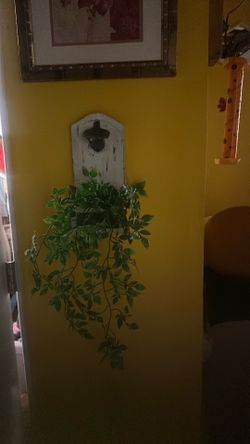 Abre latas de serveza con adorno floral vintage $15