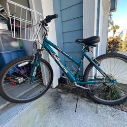 Roadmaster Bike