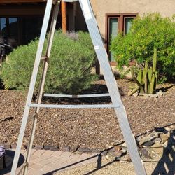 8 ft Ladder 