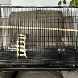 Cage Bird