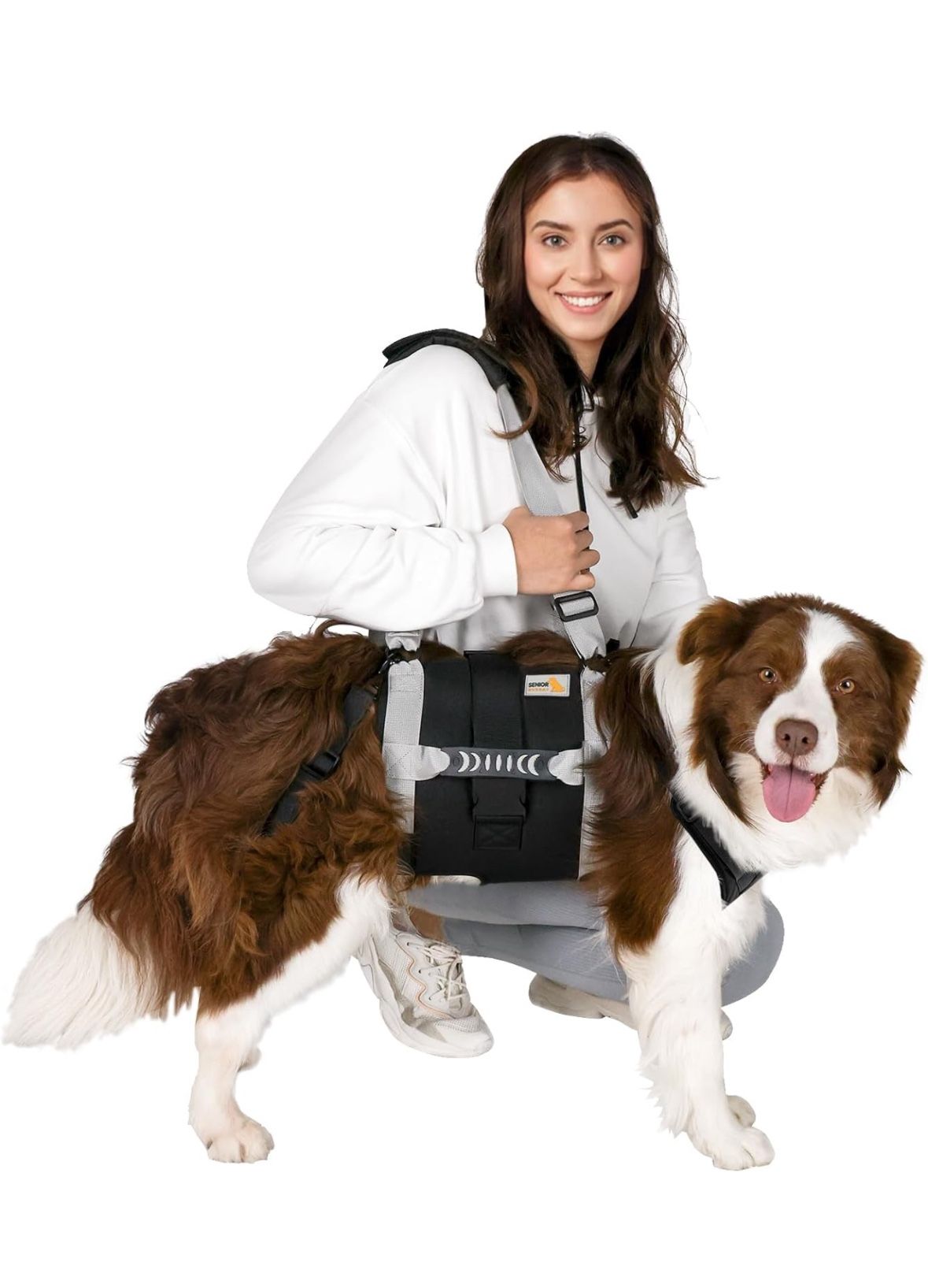 Dog Harness