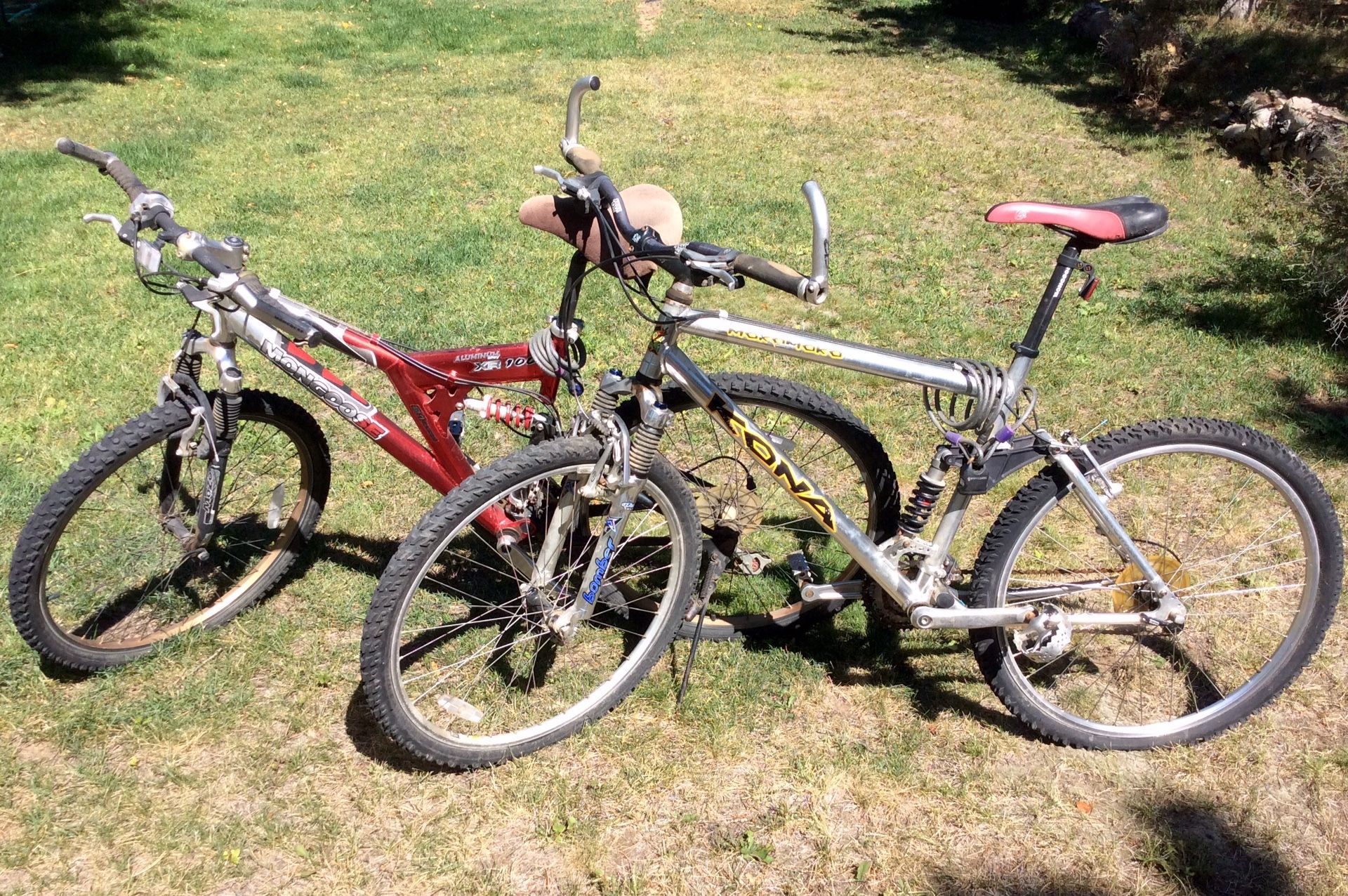 Two Mountain Bikes