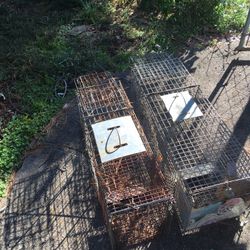 Large Live Traps $25 each 