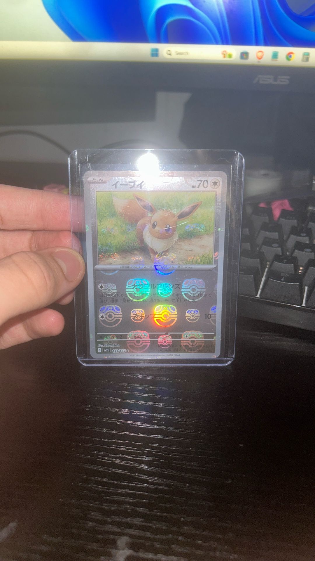 eevee MASTERBALL