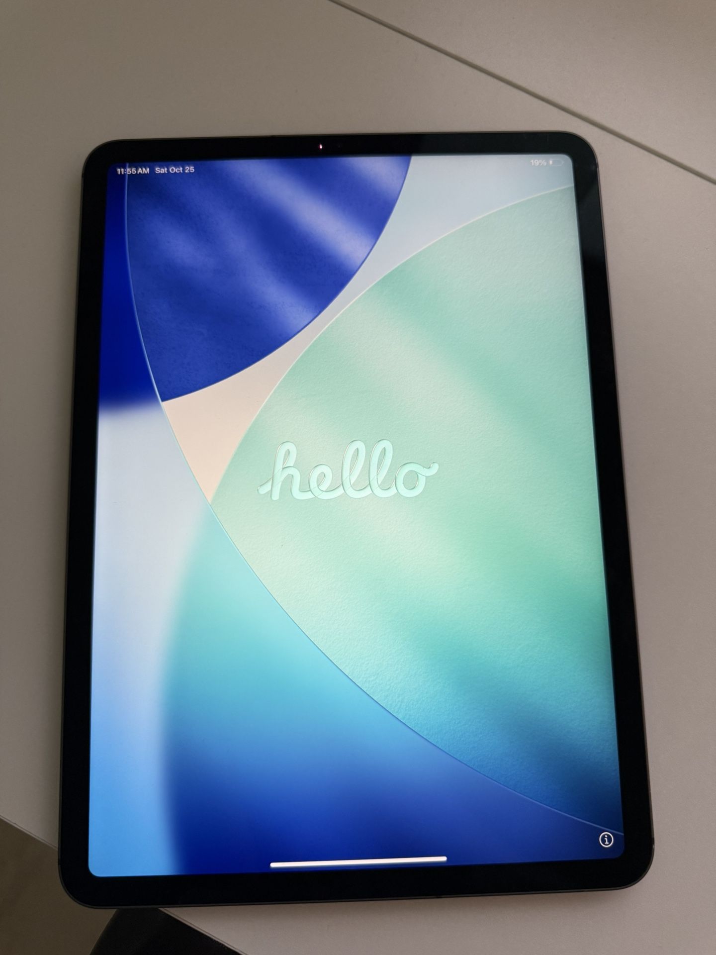 iPad Pro 11” (Celluar, 2nd Gen, 2020) + Apple Magic Mouse