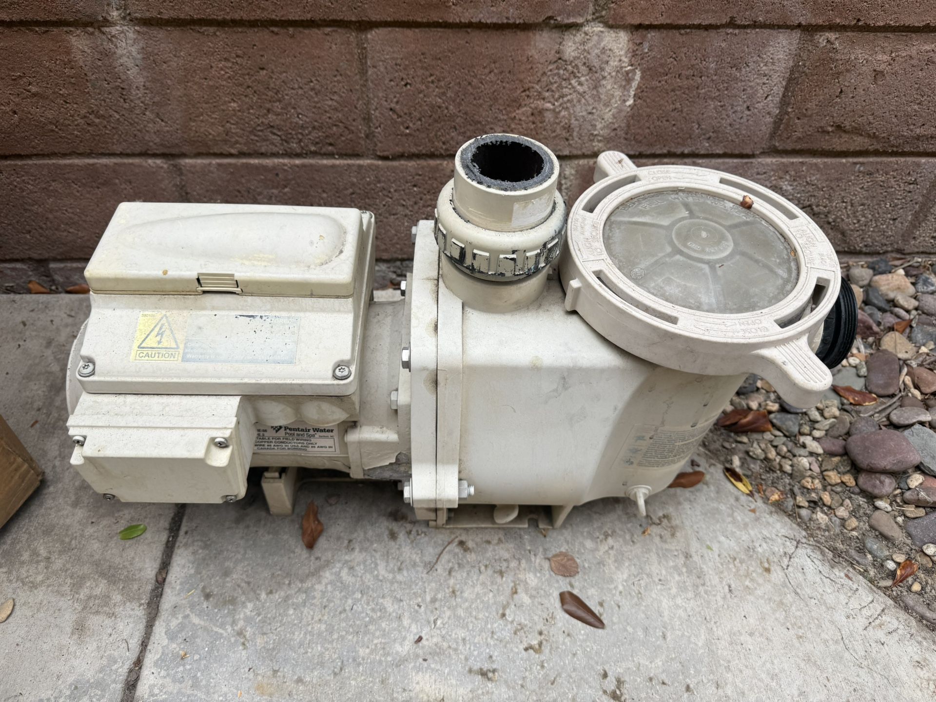 Pentaire Pool Pump (parts Only)