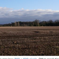 Parking For Boats Trailer extra Vehicles 