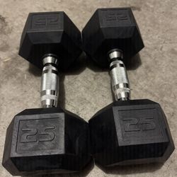 25lbs Dumbbells