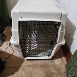 Large Dog Cage