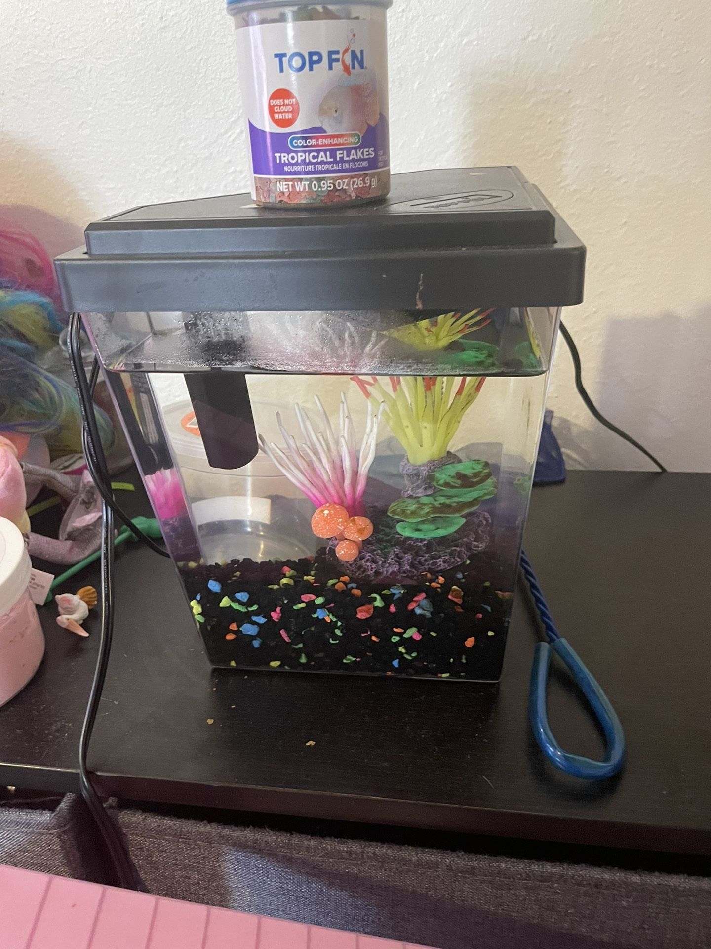 1 Gallon Diamond Fish Tank