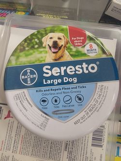 Shrestha Large Dog