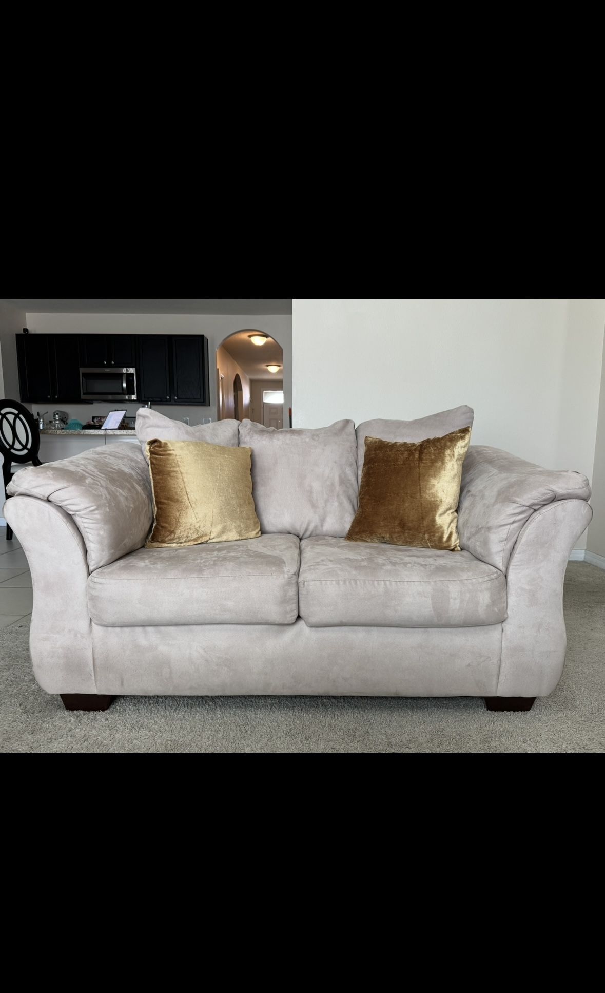 Suede Sofa & Loveseat 