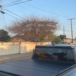 Toyota Tacoma 5ft Bed Size Trifold Hardtop Bed Cover Tapa Dura De 5 Piez Para Toyota Tacoma