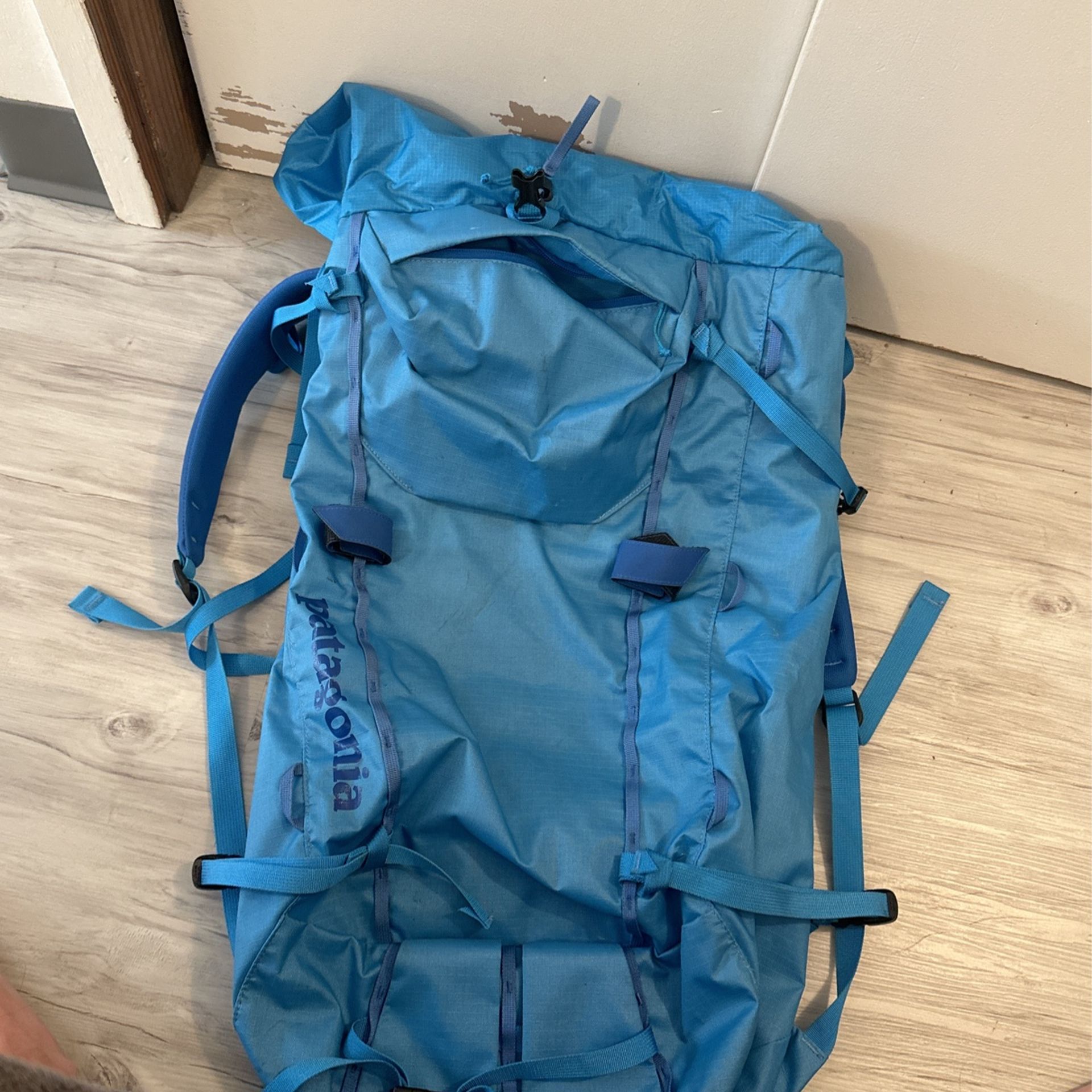 Patagonia Backpack