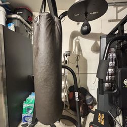Heavy bag with stand