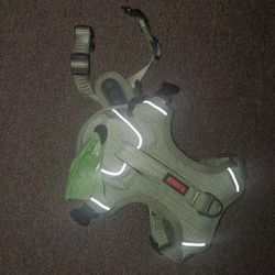 Kong Leash And Harness For Medium Dog 