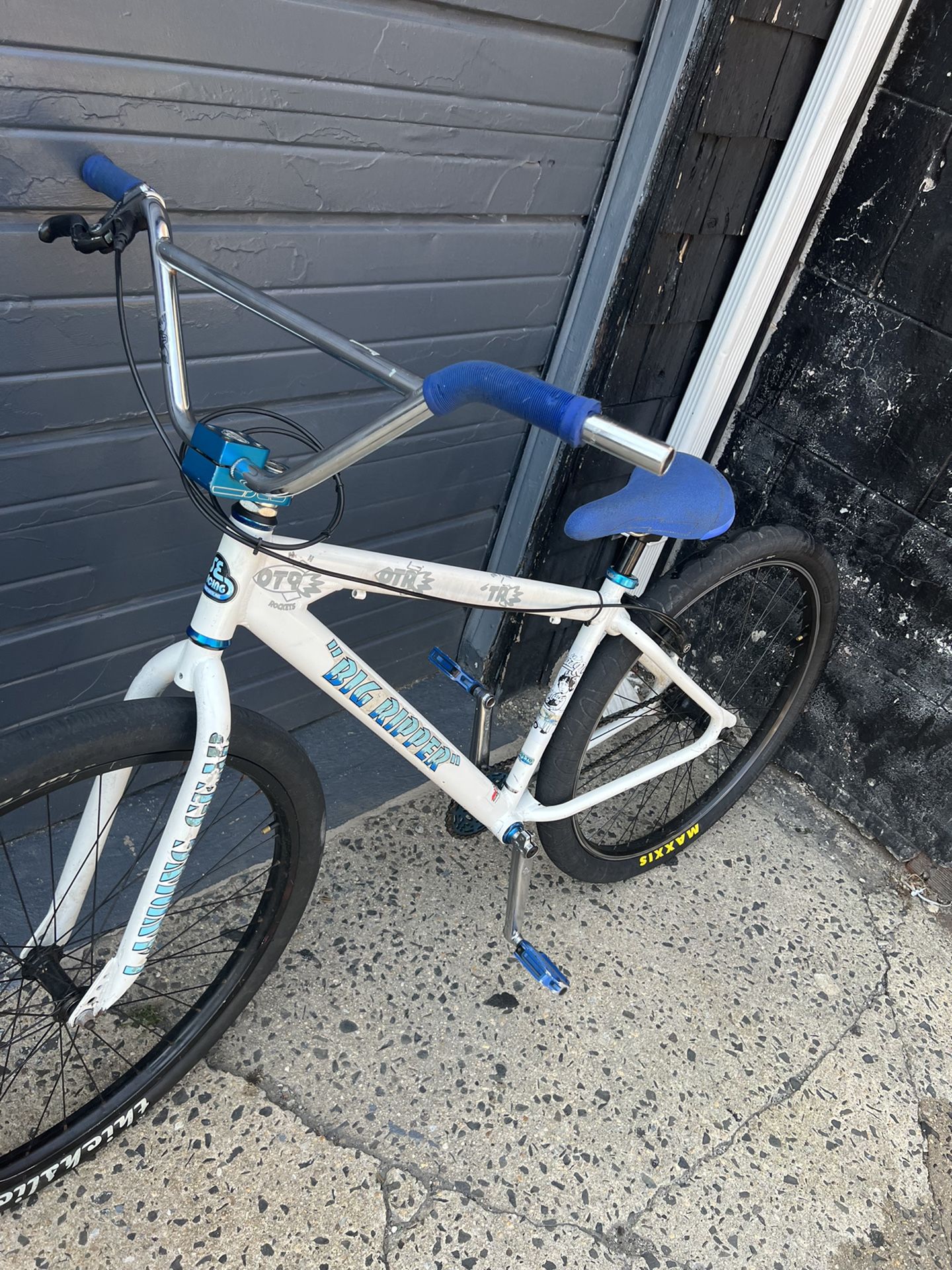 2010 Se Big Ripper