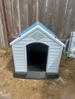 Outdoor Dog House