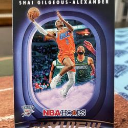 Shai Gilgeous-Alexander Skyview 