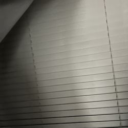 Windows Shades White 