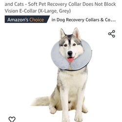 Protective Inflatable Collar for Dogs