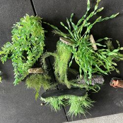 Plastic Aquarium Decor