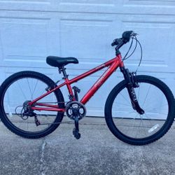Diamondback Octane 24in