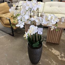 4’ orchid floor plant