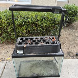 Fish tank, ecolife aquoponics