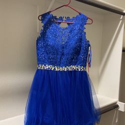 Royal blue Dress