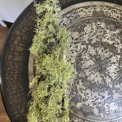 Real Moss For Home Decoration