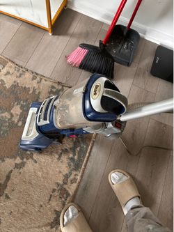 Shark vac