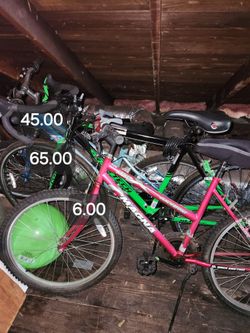 Adult bikes 