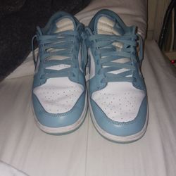 Dunks Size 10