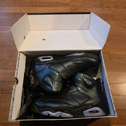Jordan 6 All Star Chameleon Size 10.5